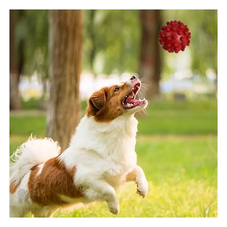 Juguete Elastico para Perro Talla L Rojo Y+Papel de Regalo