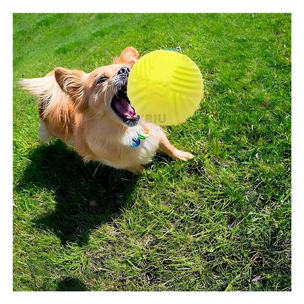 Pelota Dinamica y Compacta en Verde Limon