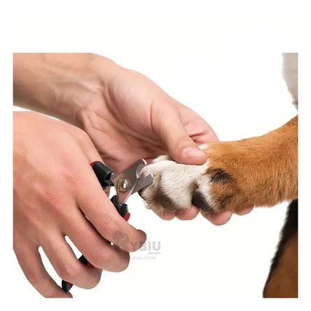 Herramienta de Aseo de Color Rosada Y+Post-it adhesivos