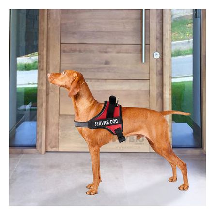 Arnes Comodo y Confiable Talla L en Rojo Y+Regalo Agendita Arnes Comodo y Confiable Talla L en Rojo Y+Regalo Agendita