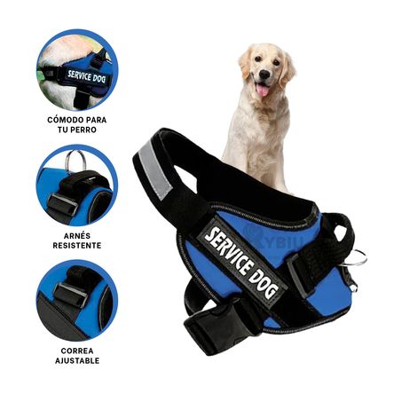 Correa Blanda y Util para Caninos Azul Y+Post-it Adhesivos Correa Blanda y Util para Caninos Azul Y+Post-it Adhesivos