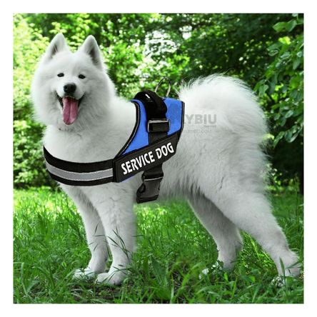 Arnes Seguro y Minimalista en Color Azul Y+Papel de Regalo Arnes Seguro y Minimalista en Color Azul Y+Papel de Regalo