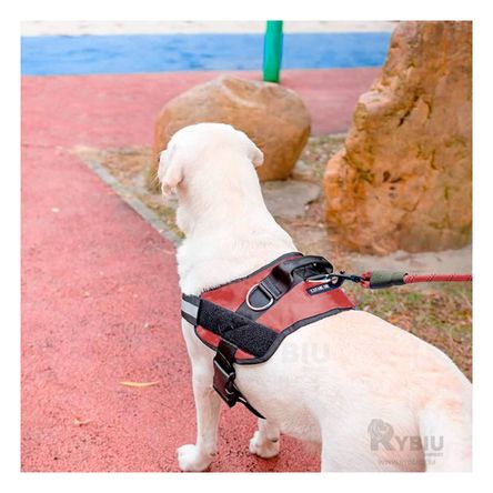 Arnes Canino Profesional Talla M Tono Rojo Y+Regalo Agendita