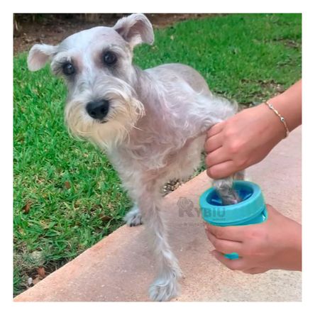 Limpiador de Patas Funcional para Mascotas Color Celeste Limpiador de Patas Funcional para Mascotas Color Celeste