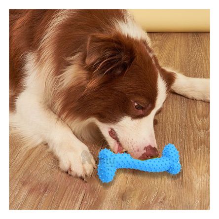 Hueso Recreativo para Perro en Celeste Y+Post-it adhesivos Hueso Recreativo para Perro en Celeste Y+Post-it adhesivos