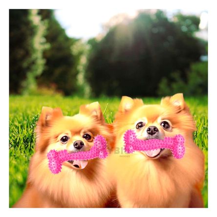 Juguete Estimulador de Dientes Rosado Y+Papel de Regalo Juguete Estimulador de Dientes Rosado Y+Papel de Regalo