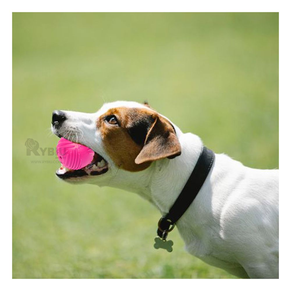 Pelota para Perros Antiestres de Goma en Rosado Y+Agendita Pelota para Perros Antiestres de Goma en Rosado Y+Agendita
