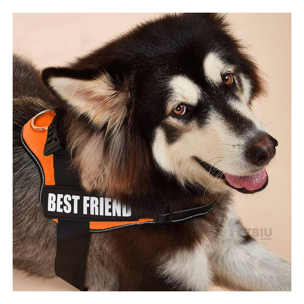 Arnes Canino Profesional en Anaranjado Y+Regalo Agendita Arnes Canino Profesional en Anaranjado Y+Regalo Agendita