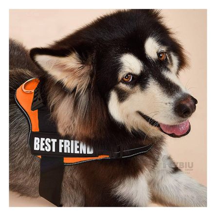 Arnes Canino Profesional en Anaranjado Y+Regalo Agendita Arnes Canino Profesional en Anaranjado Y+Regalo Agendita