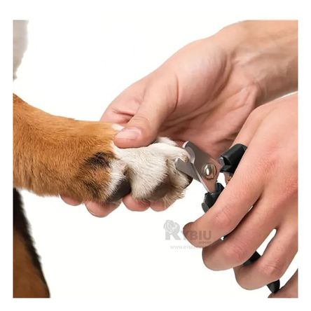 Herramienta de Aseo de Color Rosada Y+Post-it adhesivos Herramienta de Aseo de Color Rosada Y+Post-it adhesivos