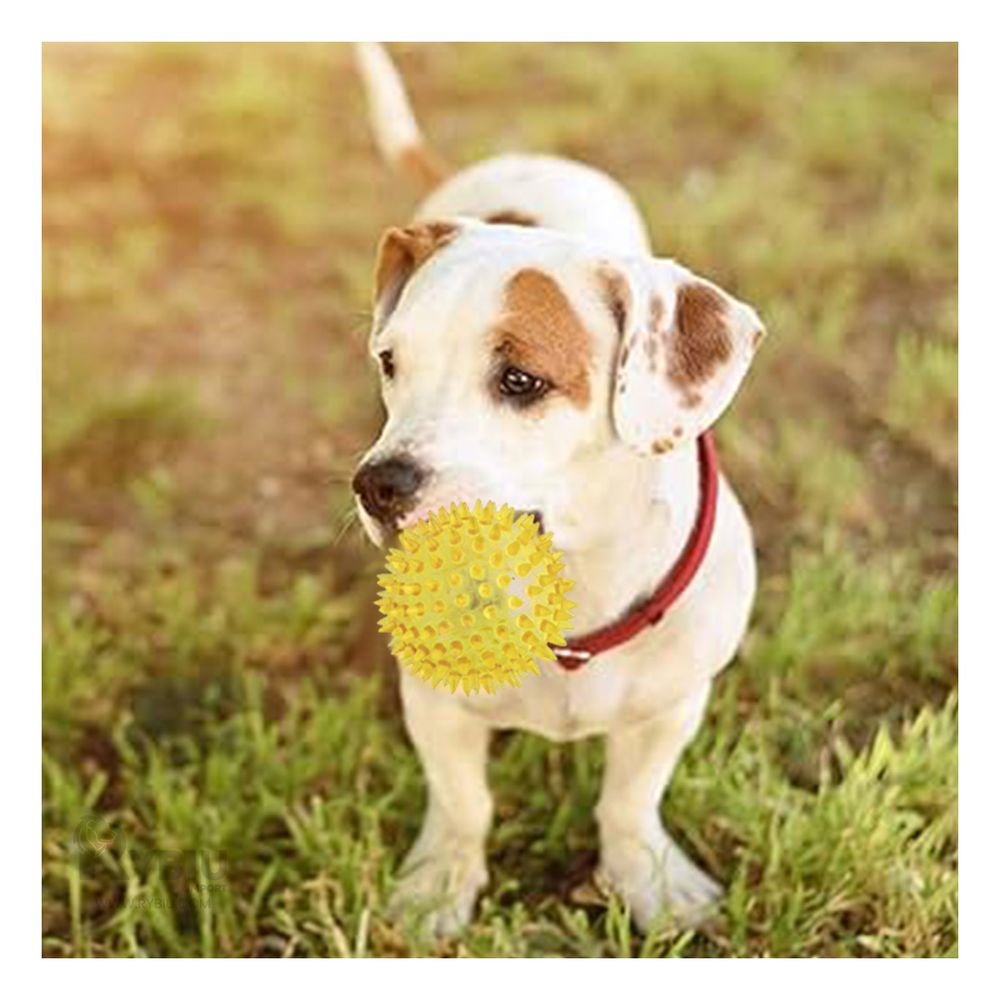 Pelota Antiestres de Mascota Amarrillo Y+Post-it adhesivos Pelota Antiestres de Mascota Amarrillo Y+Post-it adhesivos