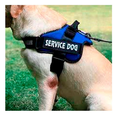 Arnes para Perro Talla XL en Tono Azul Y+Papel de Regalo Arnes para Perro Talla XL en Tono Azul Y+Papel de Regalo