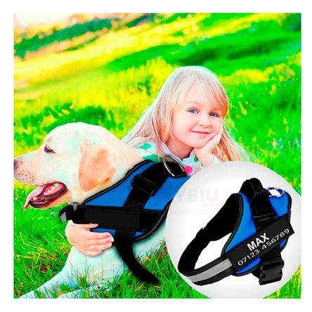 Arnes Pechera Service Dog Talla XL de Color Azul Arnes Pechera Service Dog Talla XL de Color Azul