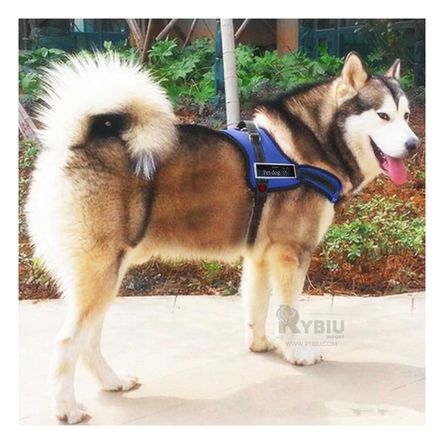 Arnes para Perros Talla L de Color Azul Arnes para Perros Talla L de Color Azul