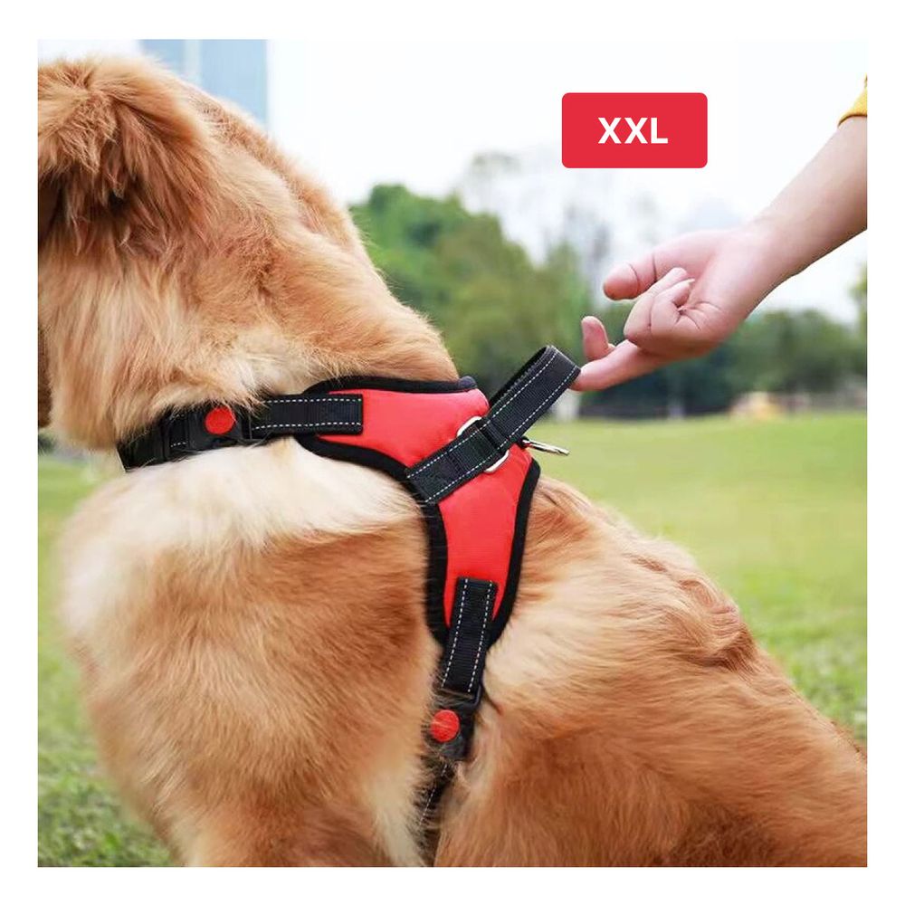Pechera para Perro Service en Rojo XXL Pechera para Perro Service en Rojo XXL