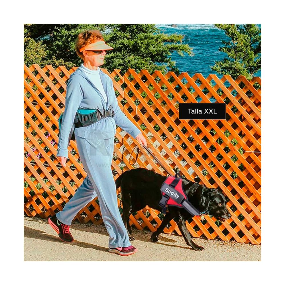 Pechera para Perros Ideal en Rojo XXL Y+Post-it adhesivos Pechera para Perros Ideal en Rojo XXL Y+Post-it adhesivos