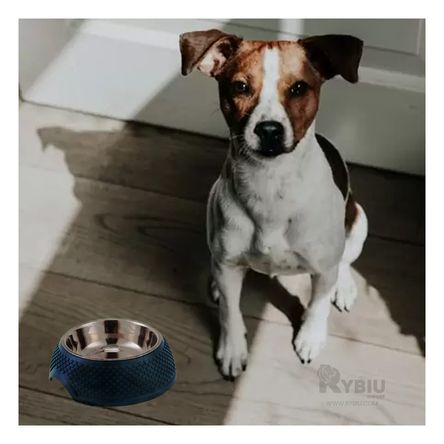 Recipiente Desarmable de Azul Oscuro Y+Post-it adhesivos