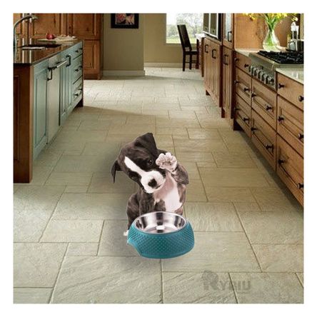 Plato Desmontable para Perro en Tono Verde Oscuro Y+Stickers