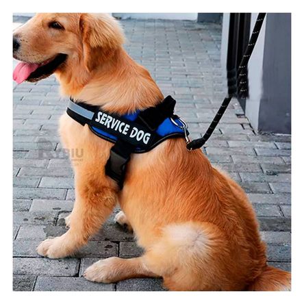 Arnes Canino Profesional Talla S de Color Azul Y+Agendita