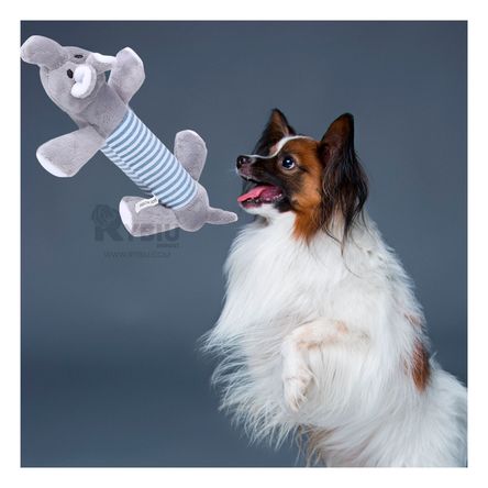 Juguete Duradero y Ligero para Cachorros Plomo Y+Agendita Juguete Duradero y Ligero para Cachorros Plomo Y+Agendita