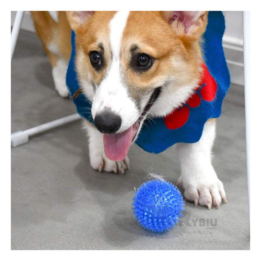 Set de 3 Pelotas con Puas Masticables con Luz LED Celeste Set de 3 Pelotas con Puas Masticables con Luz LED Celeste