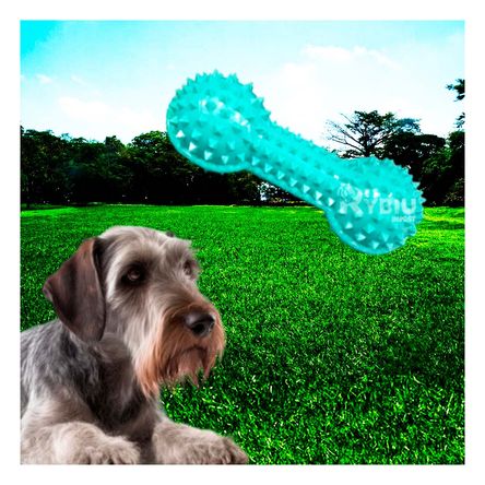 Juguete Masticador en Forma de Pesa con Puas Verde Agua Juguete Masticador en Forma de Pesa con Puas Verde Agua