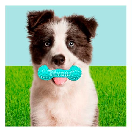 Juguete Divertido en Forma de Pesa Verde Agua Y+Agendita Juguete Divertido en Forma de Pesa Verde Agua Y+Agendita