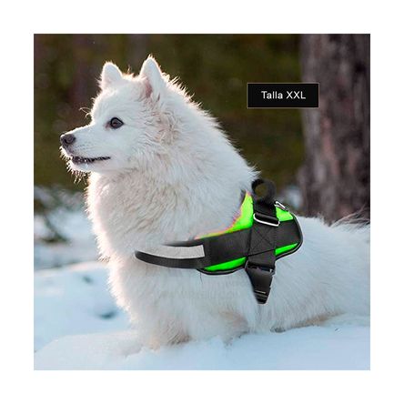 imageUrl_1 imageUrl_1