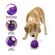 imageUrl_2