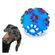 imageUrl_7