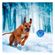 imageUrl_5