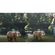 imageUrl_7