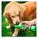 imageUrl_3