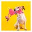 imageUrl_1