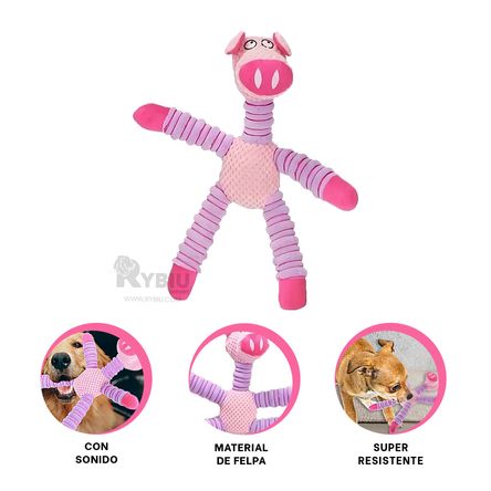 imageUrl_1 imageUrl_1