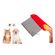 imageUrl_2