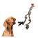 imageUrl_4