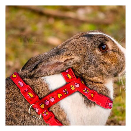 imageUrl_1 imageUrl_1