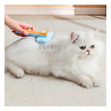 Cepillo de Plastico y Acero de Color Celeste Y+Agendita Cepillo de Plastico y Acero de Color Celeste Y+Agendita