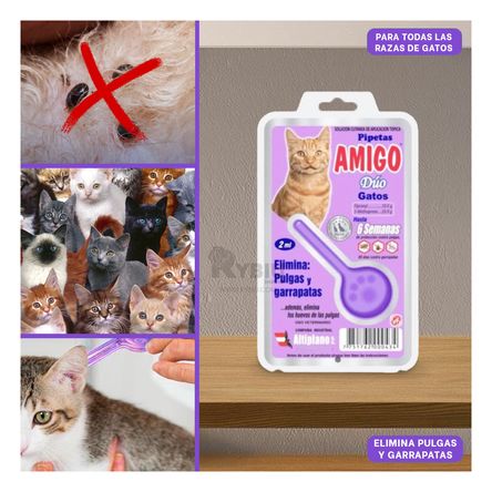 Pipeta Eliminador de Pulgas Color Morado Y+Regalo Stickers