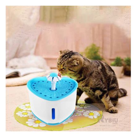 Fuente Compacta de Color Celeste Y+Papel de Regalo Fuente Compacta de Color Celeste Y+Papel de Regalo