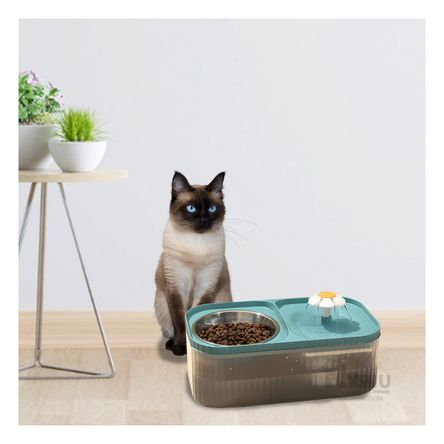 Plato con Dos Fuentes para Gato Celeste Y+Post-it Adhesivos Plato con Dos Fuentes para Gato Celeste Y+Post-it Adhesivos