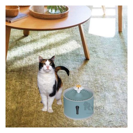 Fuente Circular de Agua Pet de Azul Acero Y+Papel de Regalo Fuente Circular de Agua Pet de Azul Acero Y+Papel de Regalo