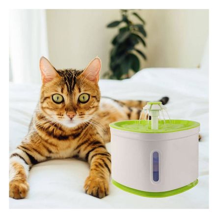 Fuente Estetica y Efectiva de Beber Verde Y+Regalo Agendita Fuente Estetica y Efectiva de Beber Verde Y+Regalo Agendita