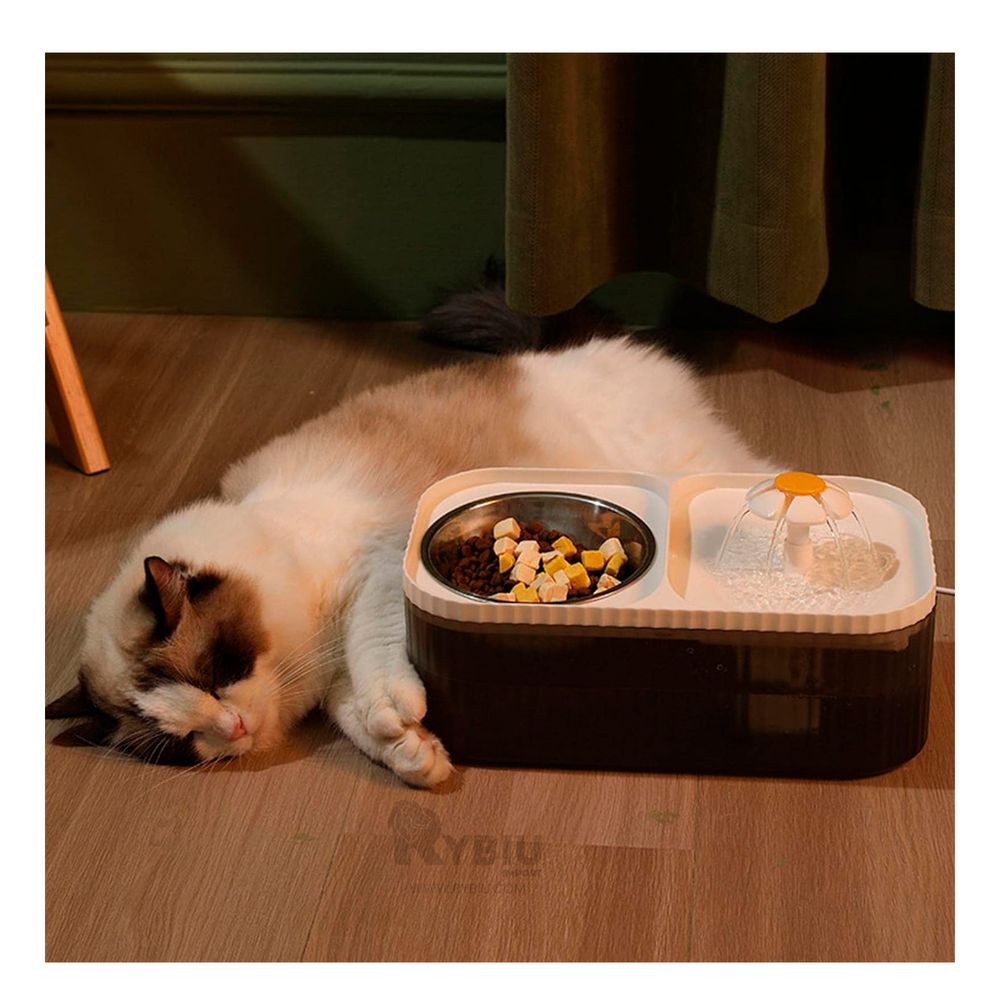 Fuente de Comida y Agua para Gato en Color Blanco Y+Agendita Fuente de Comida y Agua para Gato en Color Blanco Y+Agendita
