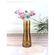 image-11a49dedacef4018bc32d3686cd5737d