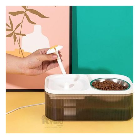 imageUrl_1 imageUrl_1