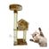 imageUrl_3