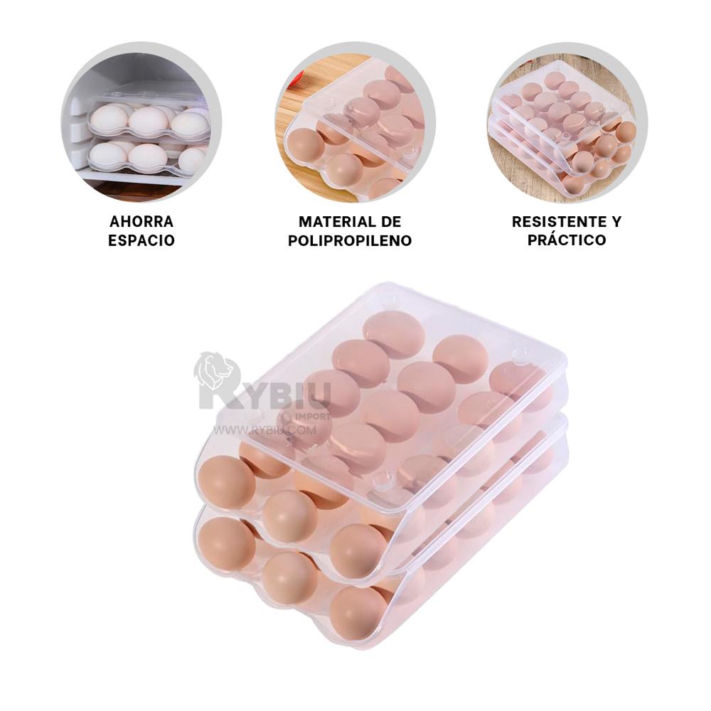 Bandeja para ArandanosTransparente Y+Banderitas Adhesivas