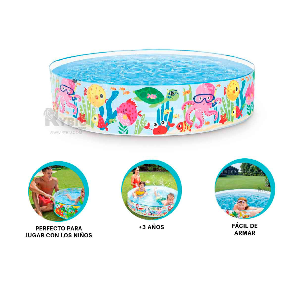 Alberca Moderna en Multicolor Y+Regalo Ligas para Peinar